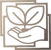 sustanaibility e1682602570656