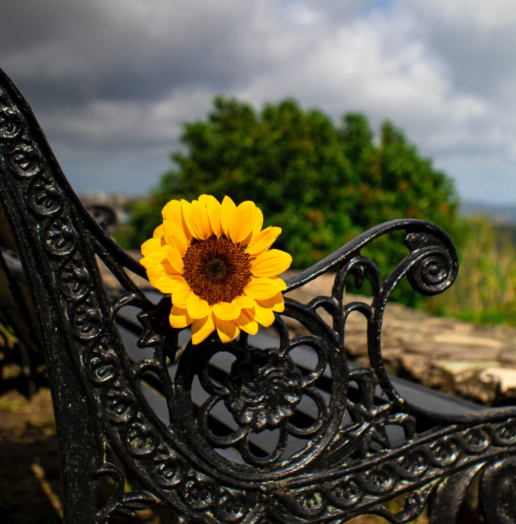 decoferro sostenible img 3